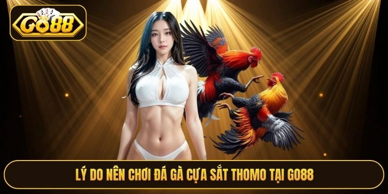 Lý do nên chơi đá gà cựa sắt thomo tại Go88