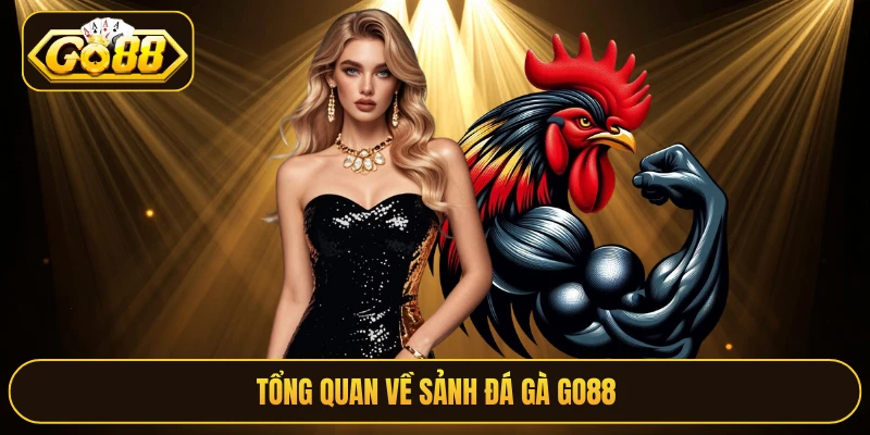 Tổng quan về sảnh đá gà Go88