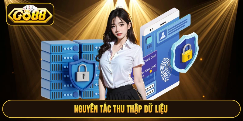 Nguyên tắc thu thập dữ liệu